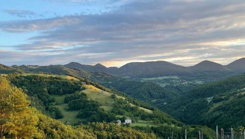 Bosco Stellato - Foto 2