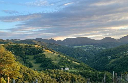 Bosco Stellato - Foto 26