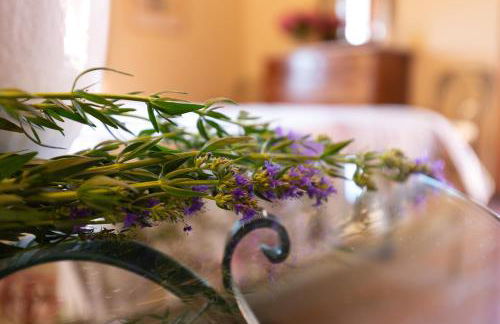 Villa S.Andrea - Foto 11