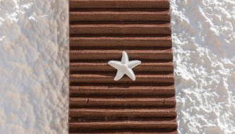 Stella Bianca - Foto 3