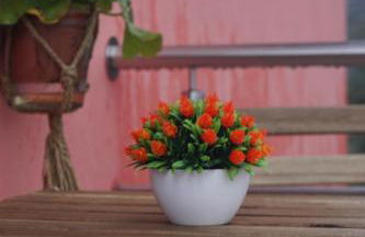 Geyra Gerês - Foto 34