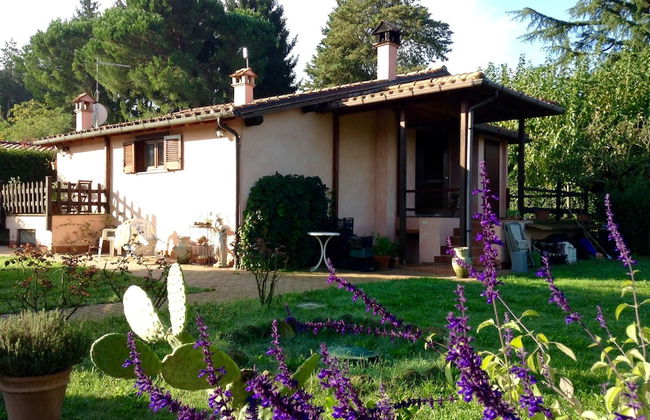 Olive Tree Hill - Foto 24