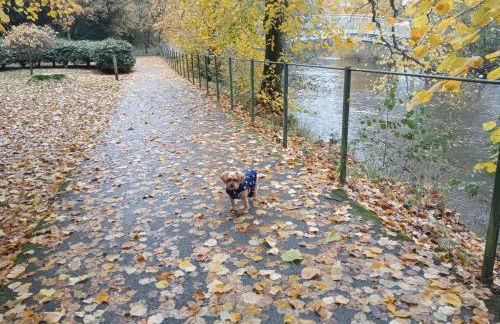 Hill View Studio - Foto 23