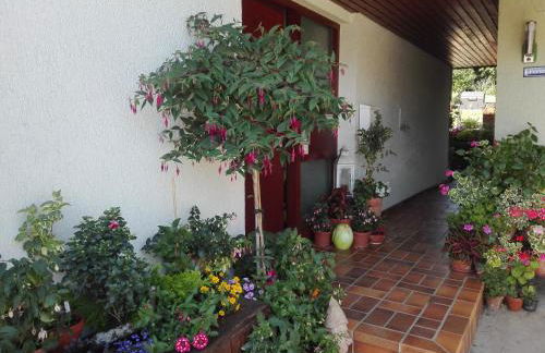 Obere Ferienwohnung Asshoff zwischen Odenwald, Taubertal und Bauland - Foto 16