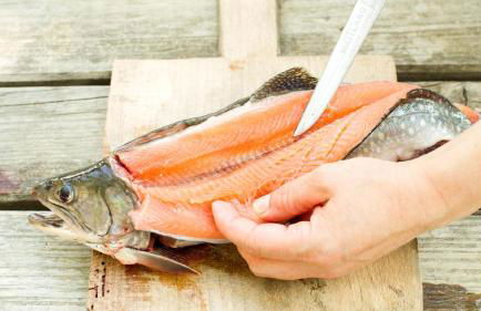 Hollweck´s Landoase - Foto 42