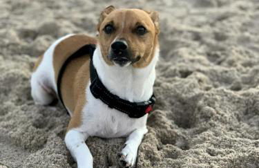 Maries Sterntaler Appartement - Photo 19