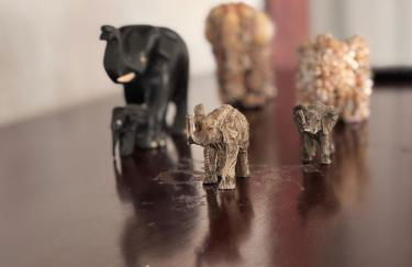 Cozy Mountain Retreat Near Lakes & Park City - Foto 17