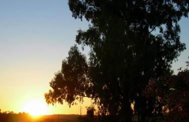 Herdade do Monte Outeiro - Turismo Rural - Foto 19