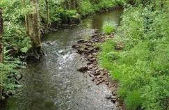 Casa do Hiebra Alojamiento Rural Ribeira Sacra - Foto 49