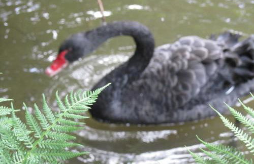 Haus Inge am Park - Foto 9