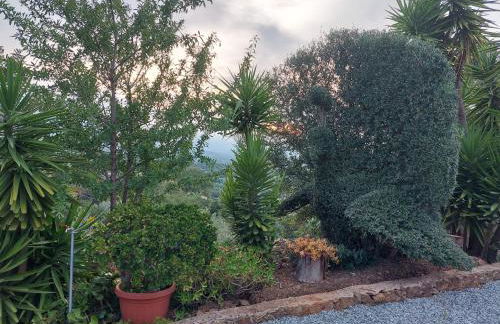 Inteserras - Foto 26