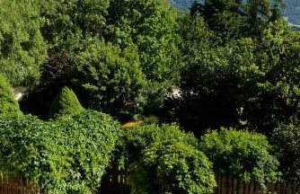 Apartments Mitterhof 1544 - Foto 18