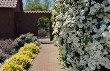 Elbwiesenhaus mit schönen Garten - Foto 18