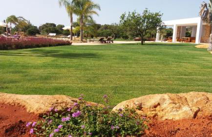 Villa Can Cosmi - Foto 13