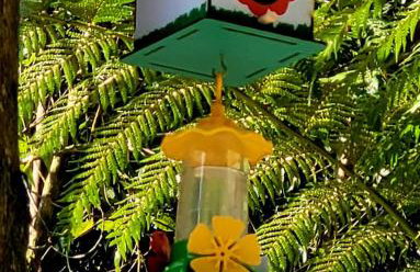 Chalé do Lopo - Photo 40