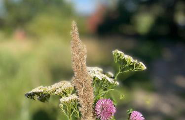 Skrzydła Biebrzy- Eco Cottage nad rzeką Narwią - Biebrza NP - Foto 39