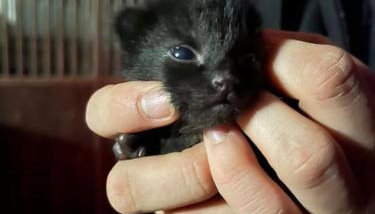 Ferienwohnung auf dem Bauernhof - Hermanns Lodge - Foto 5