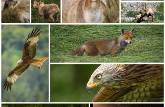 L'Ours Blanc Lodge - Photo 42