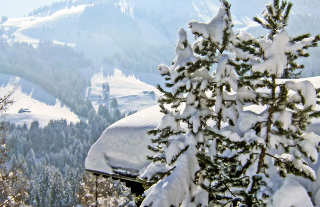 Chalet le Chamois - Foto 20