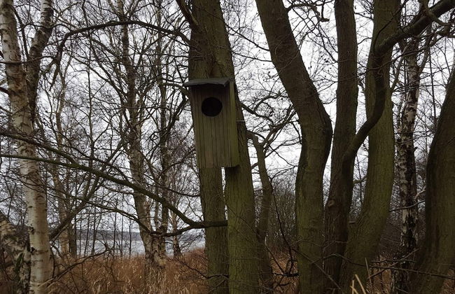 6 Person Holiday Home in Ebeltoft - Foto 13