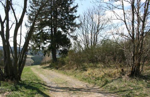 Ferienhaus Zur Ennest - Foto 28