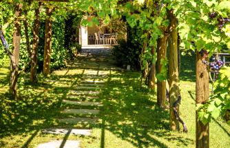 La Collina di Cesare - Foto 46