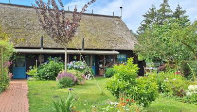 Ferienhaus An der Heide - Foto 2