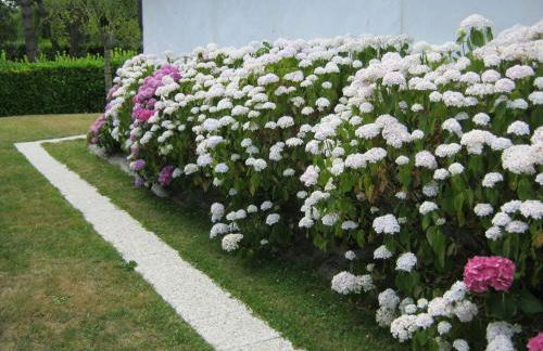 Gîte des Pins Penchés - Foto 6