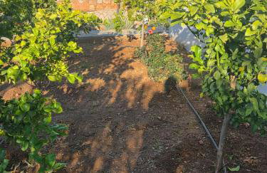 Sunrise Korfos - Foto 25