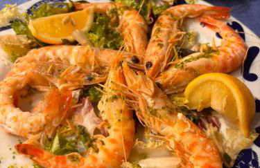 Residence Butterfly - Foto 50