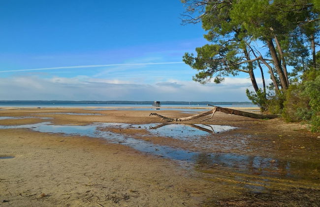 Les Calicots Sanguinet - Photo 63