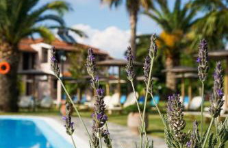 Elizabeth Roda - Foto 22