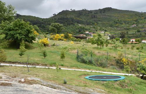 Quinta de S. Cipriano - Foto 23