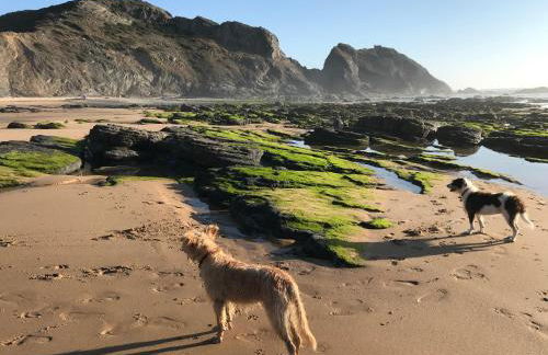 Casinha da Cabra, Casas do Poente, Rogil, Aljezur - Photo 23