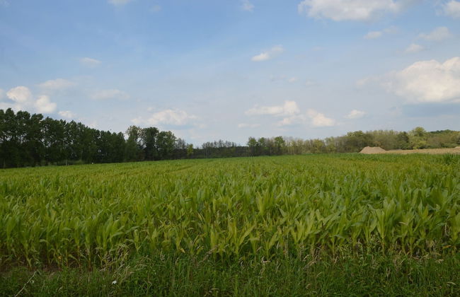 Swolgen Estate With Sauna - Photo 40