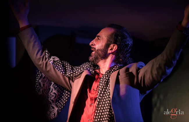 Espetáculo de flamenco no Alegría - Foto 4