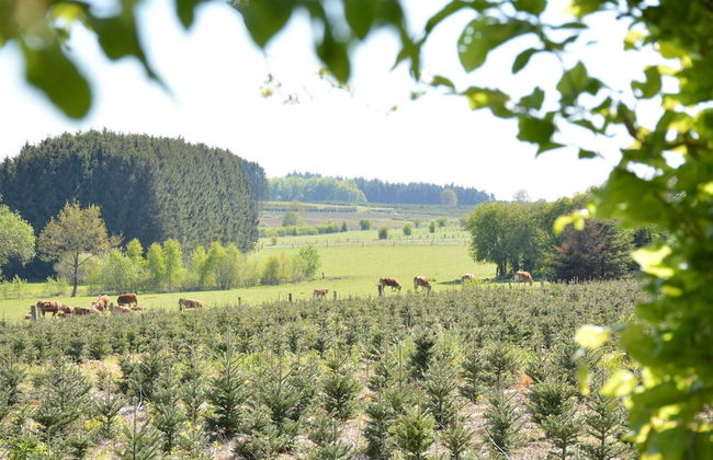 Cottage With Foosball & Garden - Foto 28