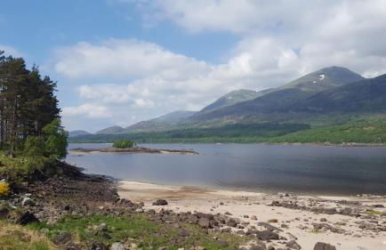 Baltinna West - by Where Stags Roar - Foto 13