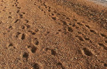 Norburton Hall Cottages - Photo 14