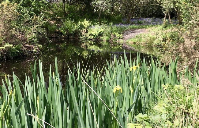 Trecombe Lakes - Foto 45