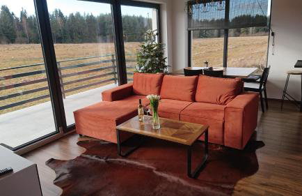 Domki pod Lasem 66 - Foto 22