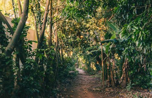 Recanto Pitanga - Foto 14