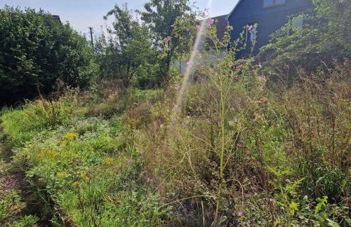 Naturnahes Wohnen in einem alten Haus mit Garten - Foto 54