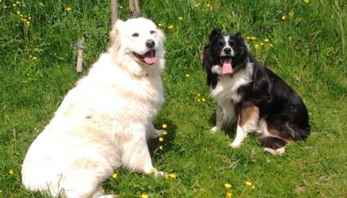 Ferienwohnungen Zeltnerhof - Foto 5