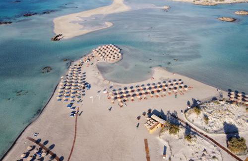 Cornelia Hippie Magic Bus - Foto 61