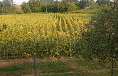 Η Αυλή - Photo 62