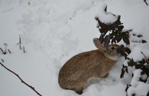 Lehmhof-Lindig - Foto 21
