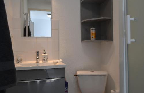 Le petit studieux - Parking - Animaux acceptés - Centre ville accessible à pied - Foto 22