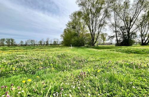 Kranichrast - Photo 22