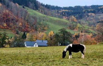 Domek pod Ostoją Góry Sowie - Foto 22